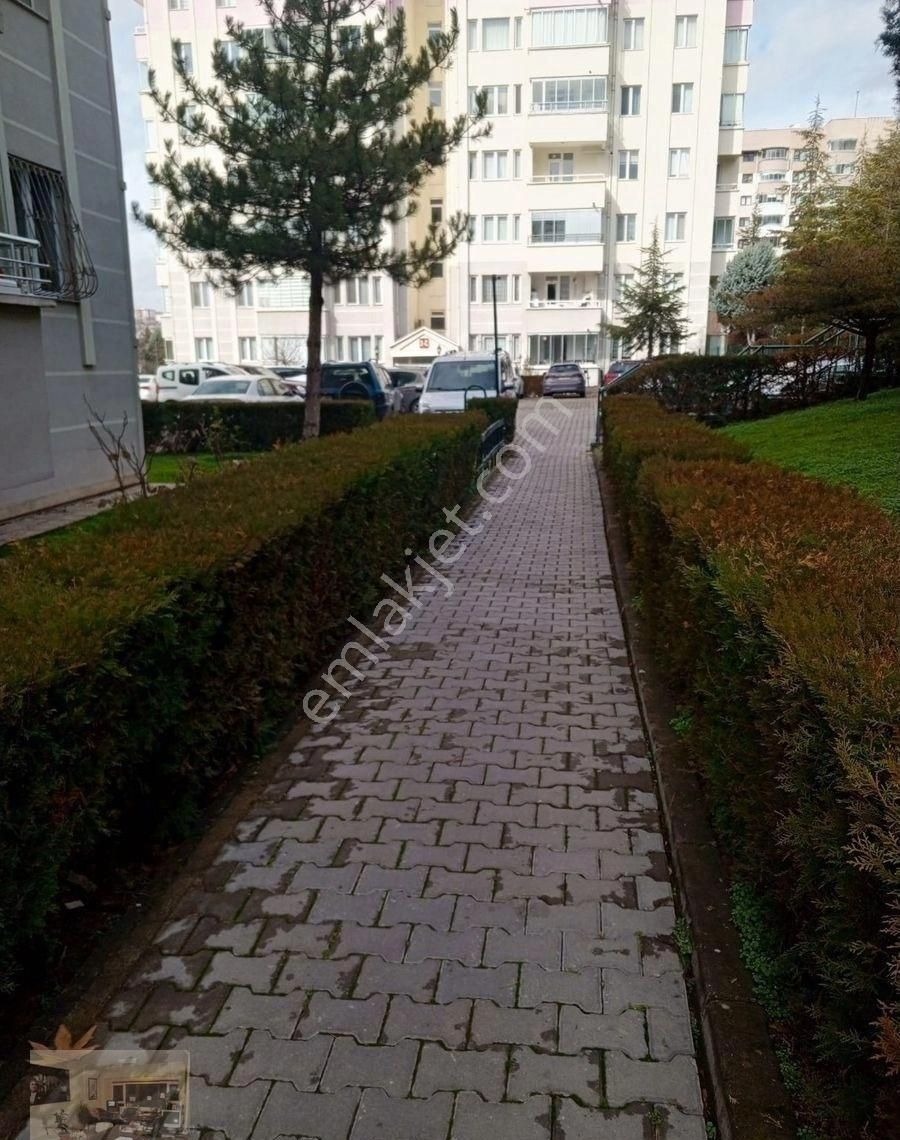 Yavuzselim Mahallesinde Türk Hava Yolları Sitesinde Tek Emlaktan Kiralık 3+1 Daire - Görsel 9