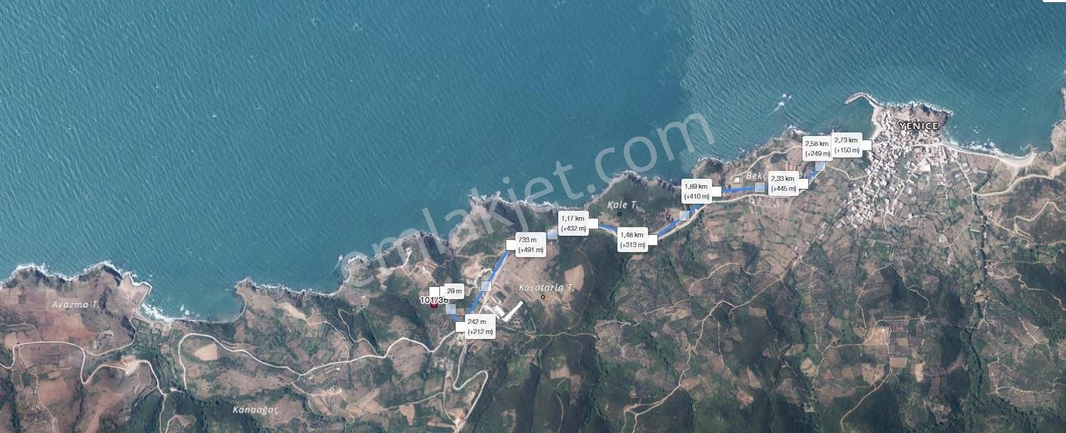 Sahil Yenice De Deniz Manzaralı Satılık Zeytinlik Tarla - Görsel 3