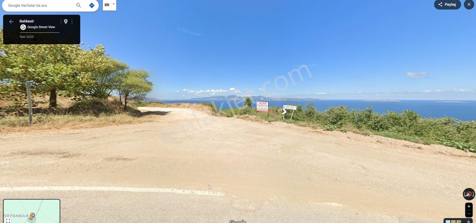 Sahil Yenice De Deniz Manzaralı Satılık Zeytinlik Tarla