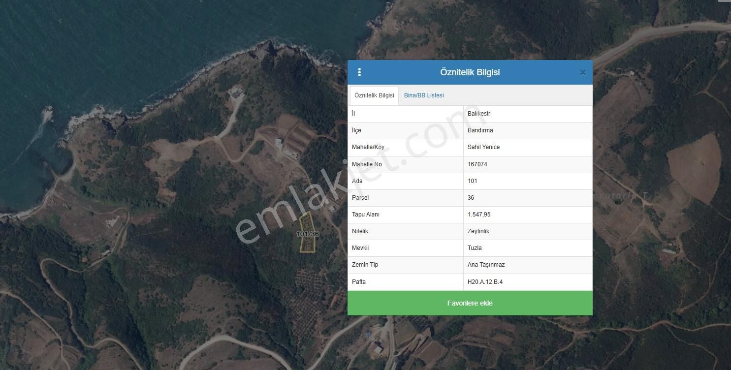 Sahil Yenice De Deniz Manzaralı Satılık Zeytinlik Tarla - Görsel 4