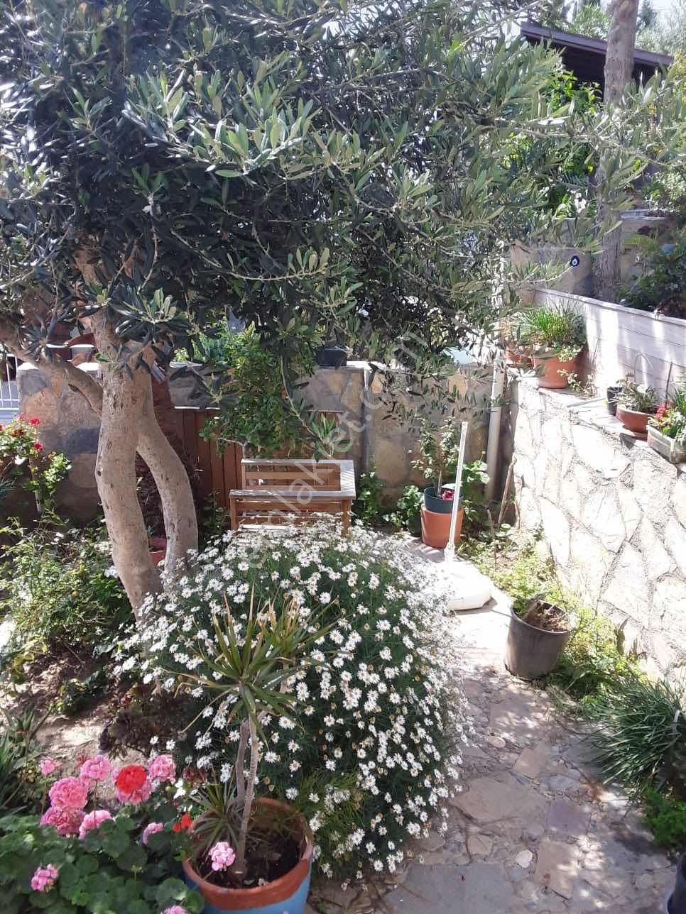 Tayman'dan Akyarlar'da Muhteşem Deniz Ve Adalar Manzaralı Villa - Görsel 2