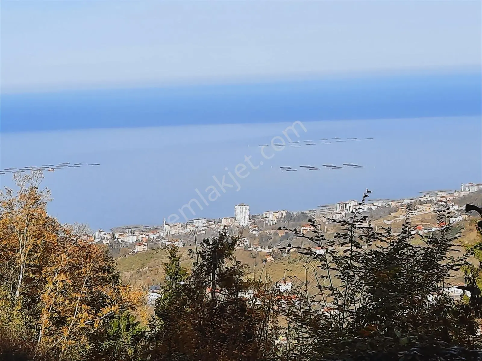 Vakfıkebir De Satılık Deniz Manzaralı Arazi - Görsel 5