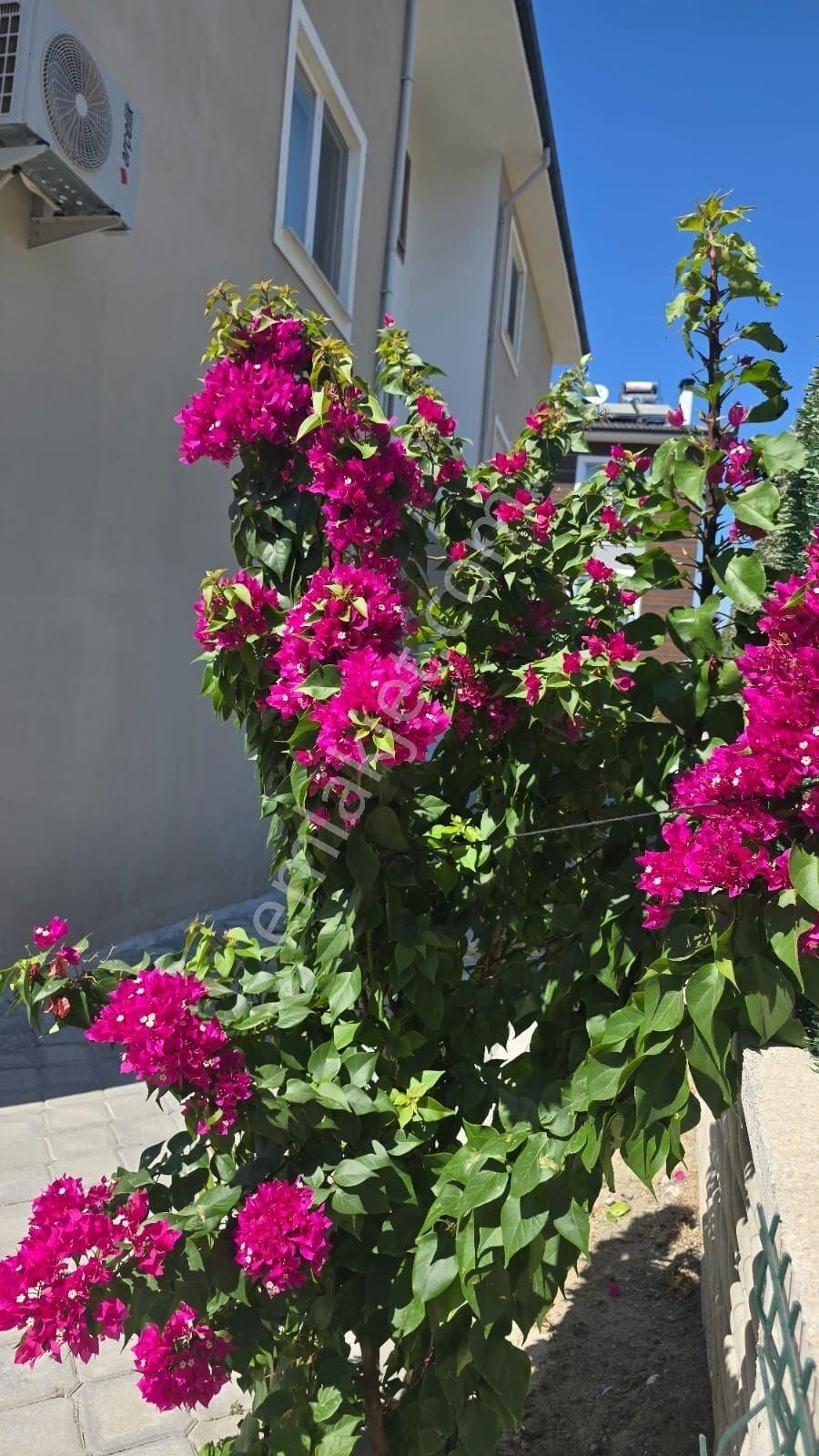 Havuzlu Site İçinde, Hastaneye Yakın Satılık 1+1 | Dalaman - Görsel 2