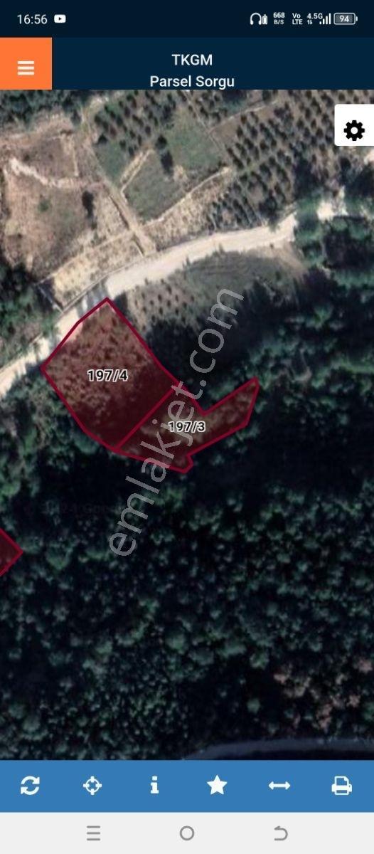 Taşucuna Yakın Konumda Yatırımlık Tarla