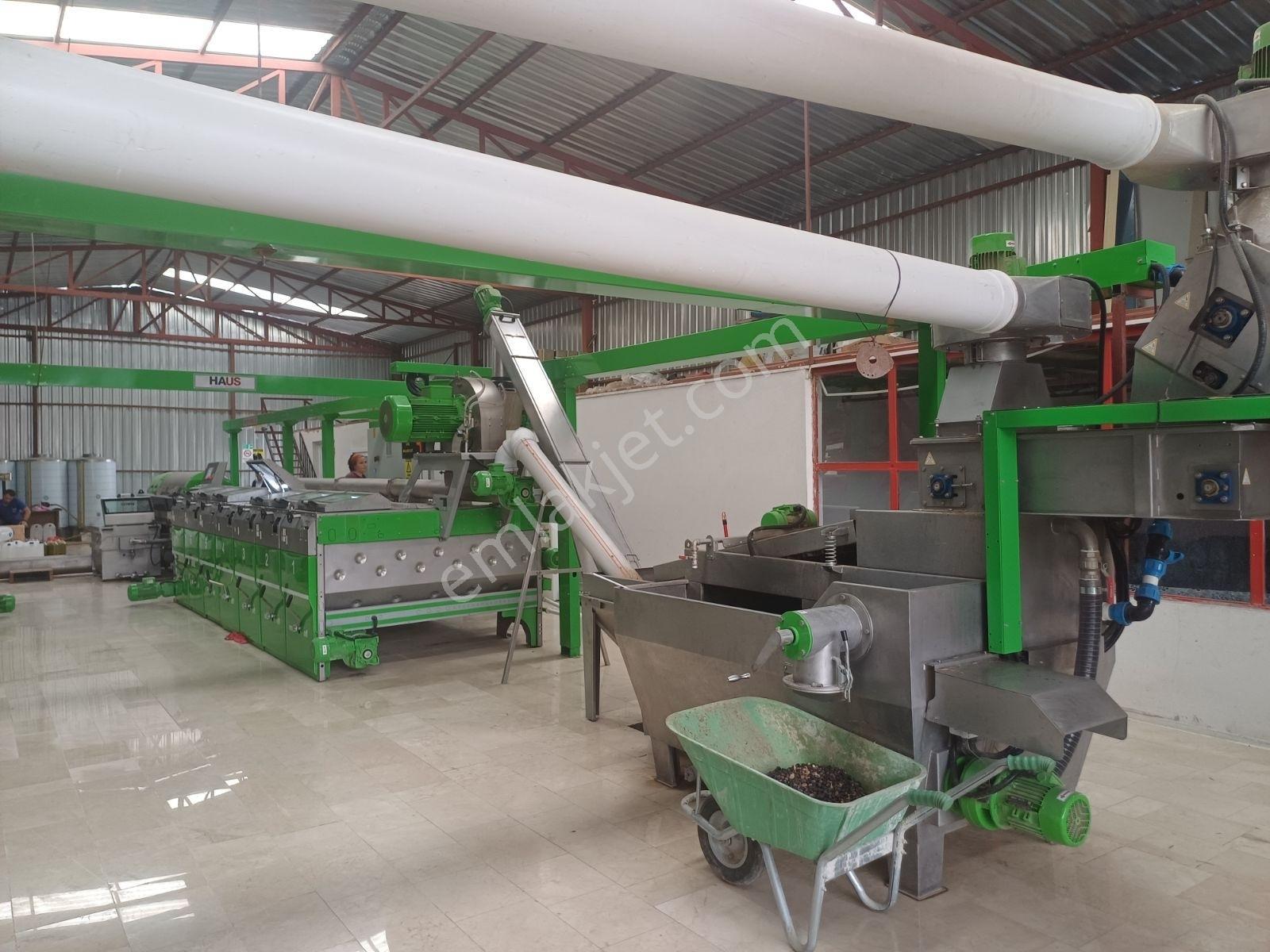 Karaisalı,beydemirli Köyünde Ana Yola Sıfır Zeytinyağı Fabrikası