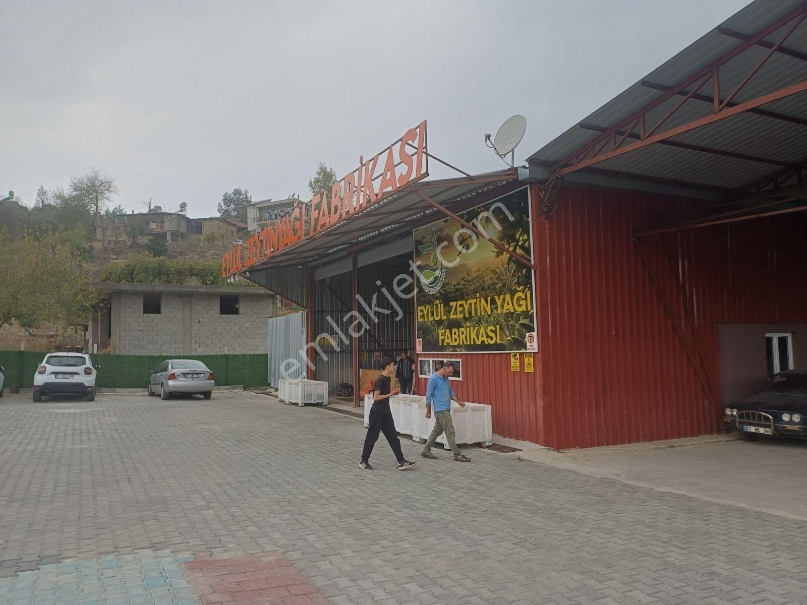 Karaisalı,beydemirli Köyünde Ana Yola Sıfır Zeytinyağı Fabrikası - Görsel 15