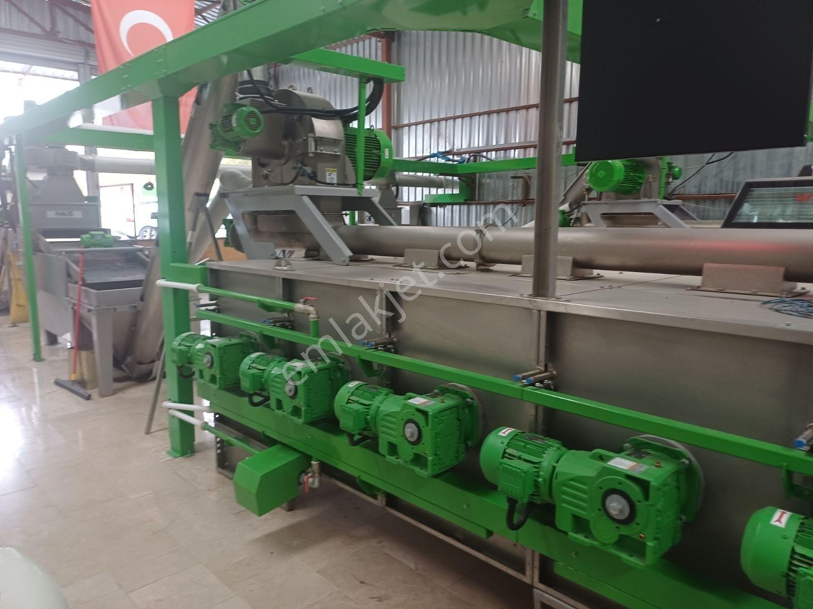 Karaisalı,beydemirli Köyünde Ana Yola Sıfır Zeytinyağı Fabrikası - Görsel 20