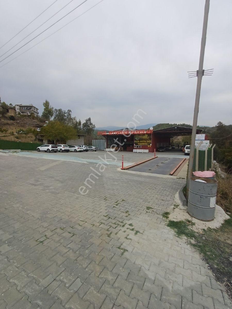 Karaisalı,beydemirli Köyünde Ana Yola Sıfır Zeytinyağı Fabrikası - Görsel 10