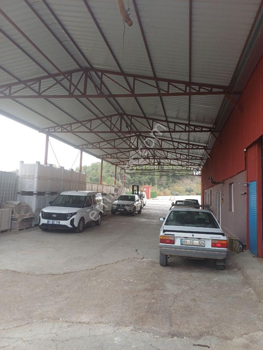 Karaisalı,beydemirli Köyünde Ana Yola Sıfır Zeytinyağı Fabrikası - Görsel 3
