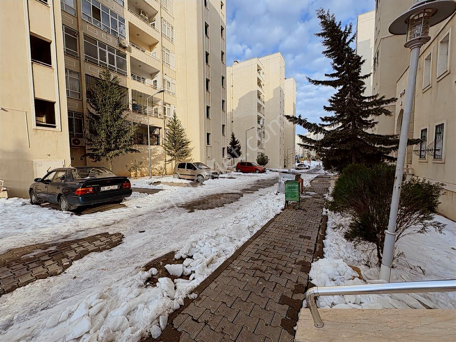 Maşuk Seyrantepe Fg Konutları Acil Satılık Arakat Daire - Görsel 20