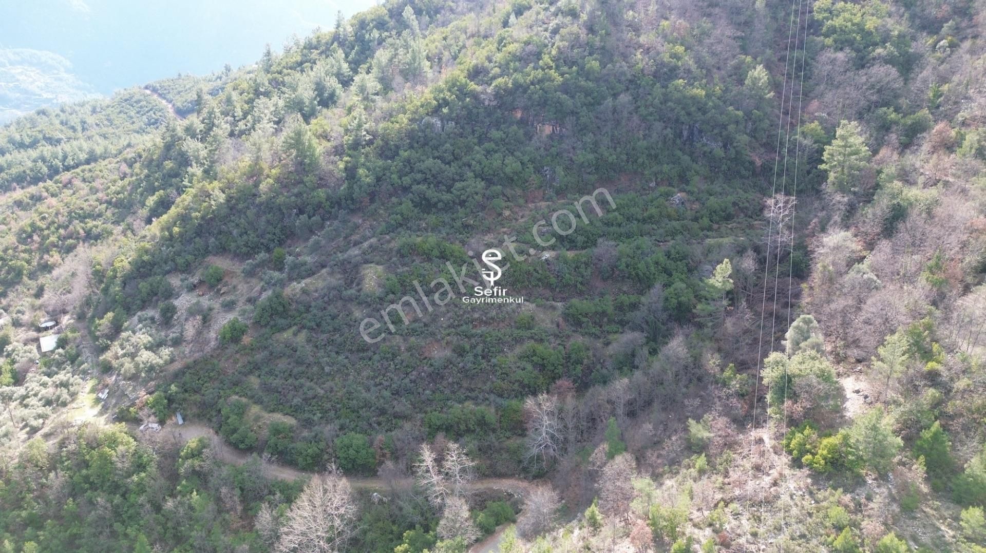 Alanya Akçatı'da Manzaralı 7.500 Metrekare Satılık Tarla - Görsel 5