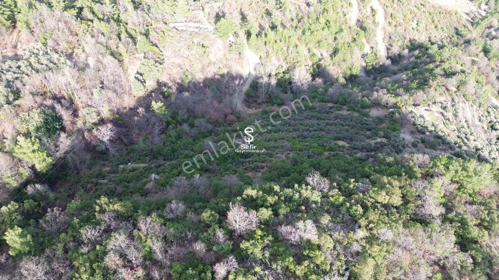 Alanya Akçatı'da Manzaralı 7.500 Metrekare Satılık Tarla - Görsel 10