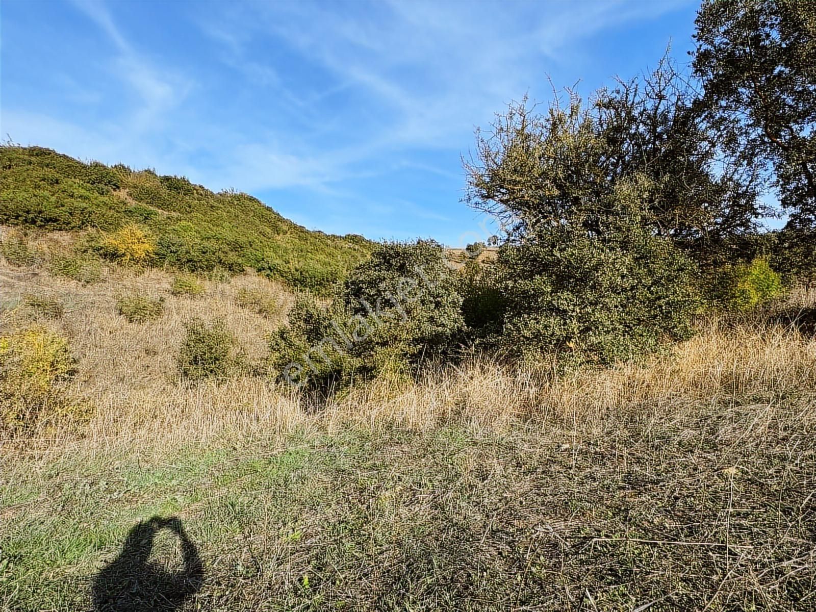 Çanakkale Biga Bekirli Köyü Göl Manzaralı Yatırımlk Fırsat Arazi - Görsel 6