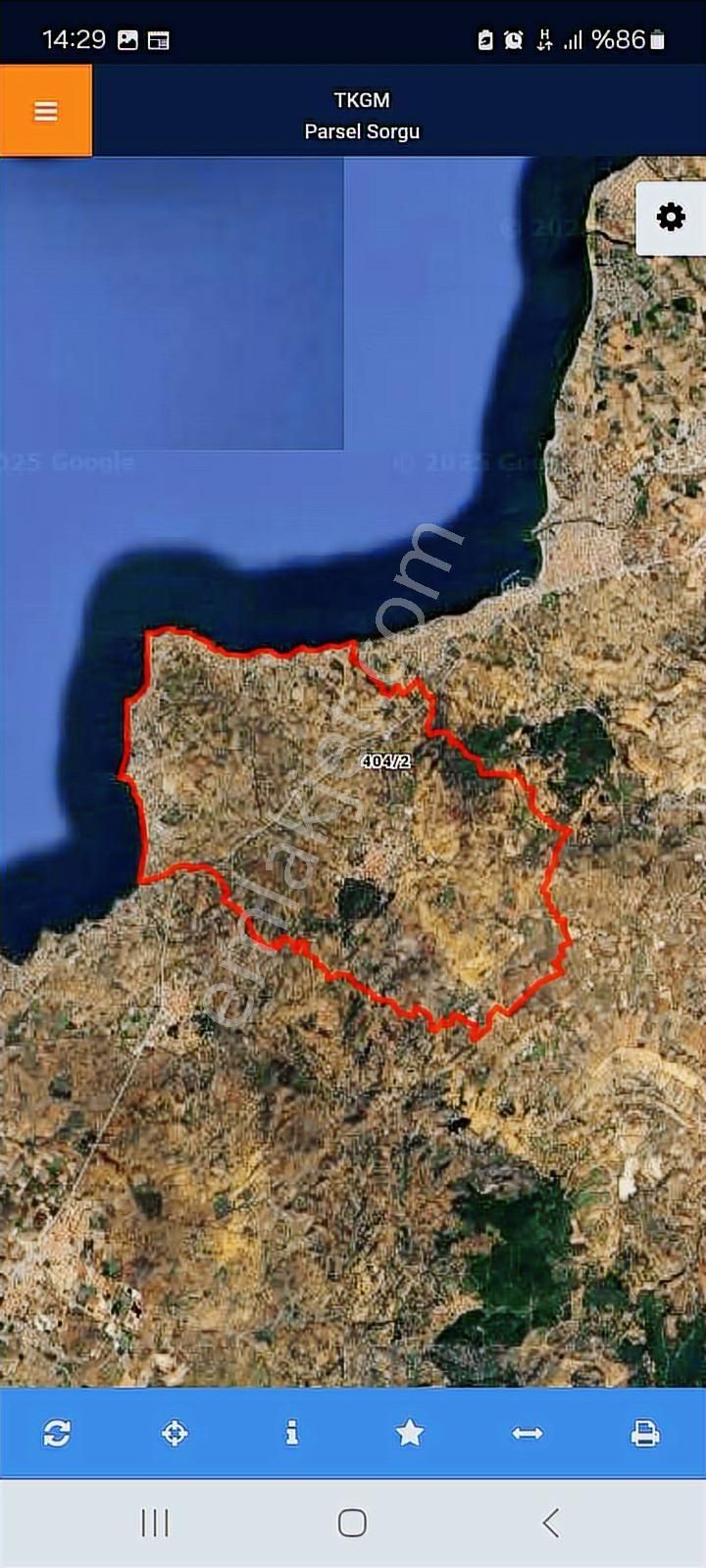 Burhaniye Pelitköy'de Yatırımlık Deniz Manzaralı Zeytinlik - Görsel 2