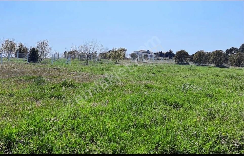 İmar Planında Aşırı Karlı Acillll Satılıkkk Arsa - Görsel 2