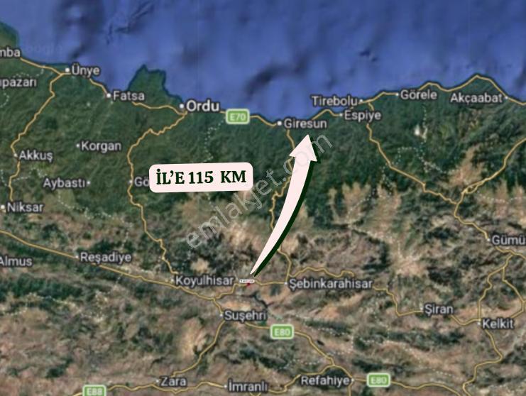 Giresun Şebinkarahisar Tepeltepe Köyünde 28.620 M² Tarla Satılıktır - Görsel 6
