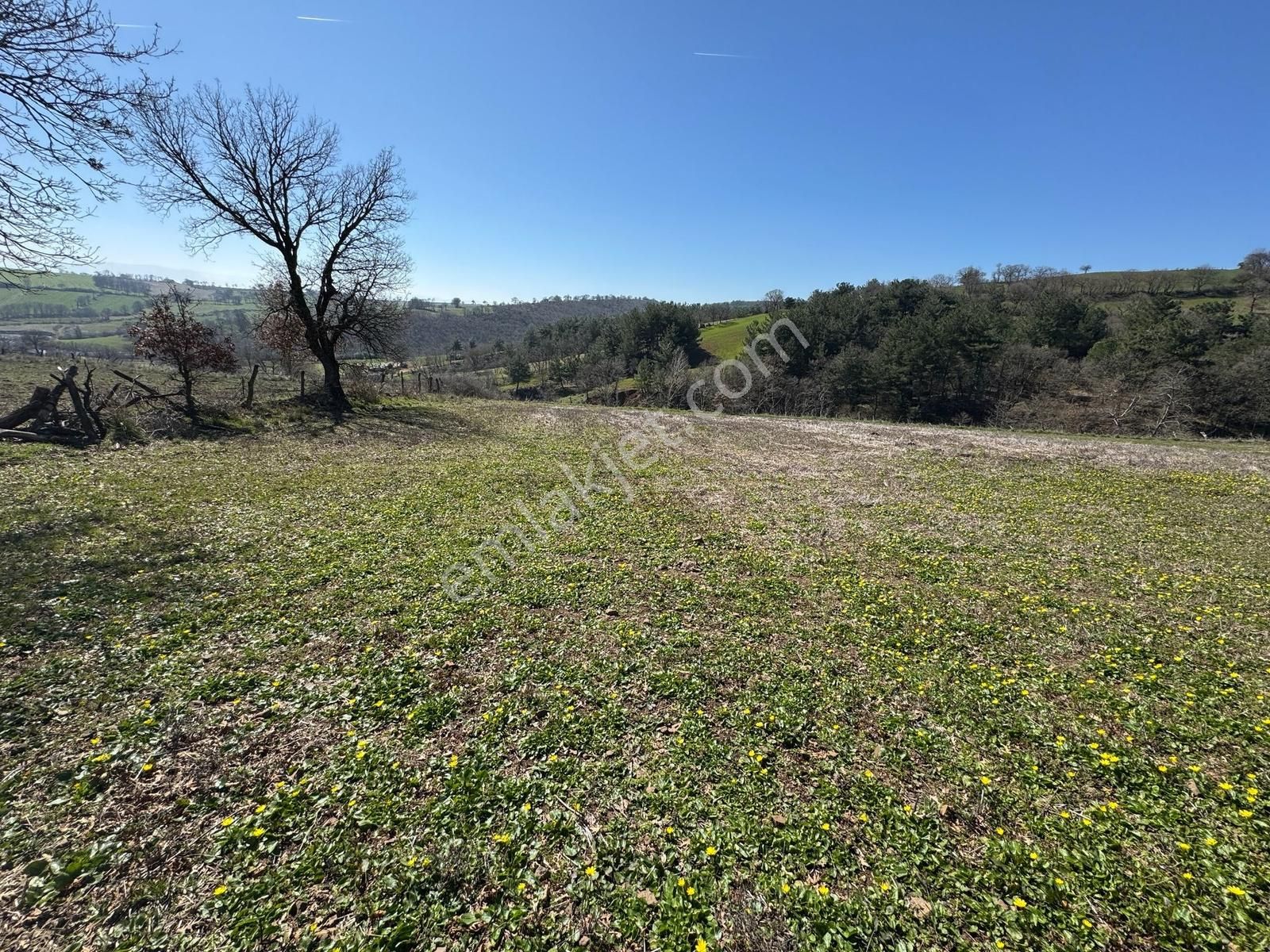 Çanakkale Çan Karadağ Köyünde Muhteşem Göl Manzaralı Arazi - Görsel 3