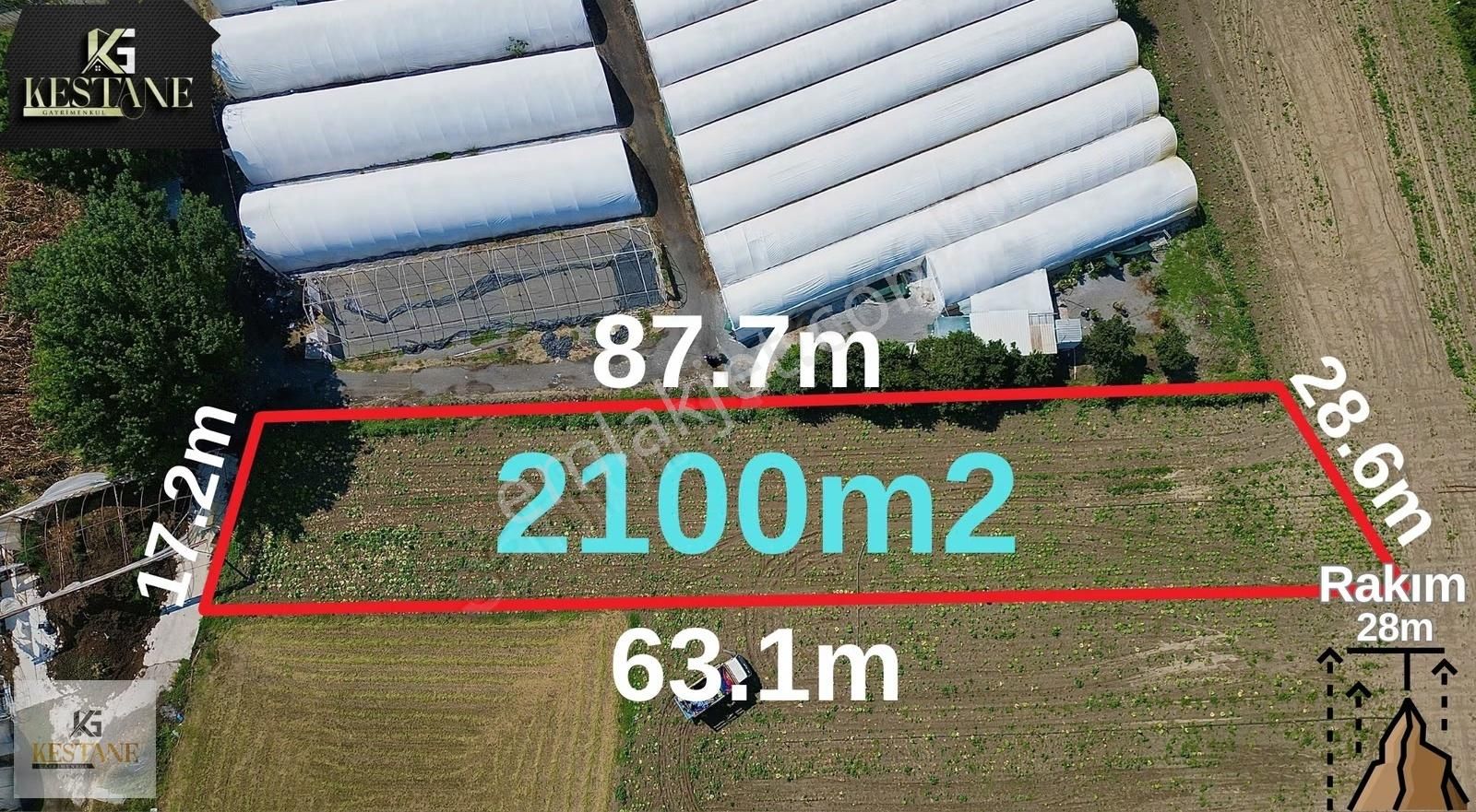 Toprak Yollu| Şekli Düzgün| Tren Yoluna Yakın Tarla - Görsel 12