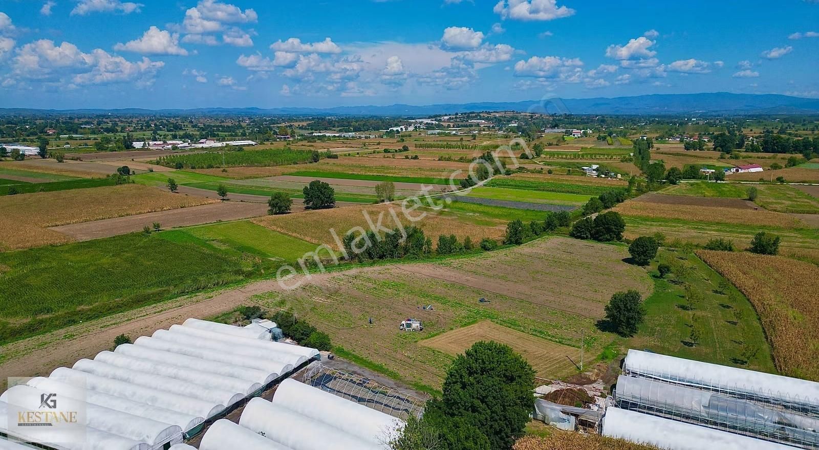 Toprak Yollu| Şekli Düzgün| Tren Yoluna Yakın Tarla - Görsel 3