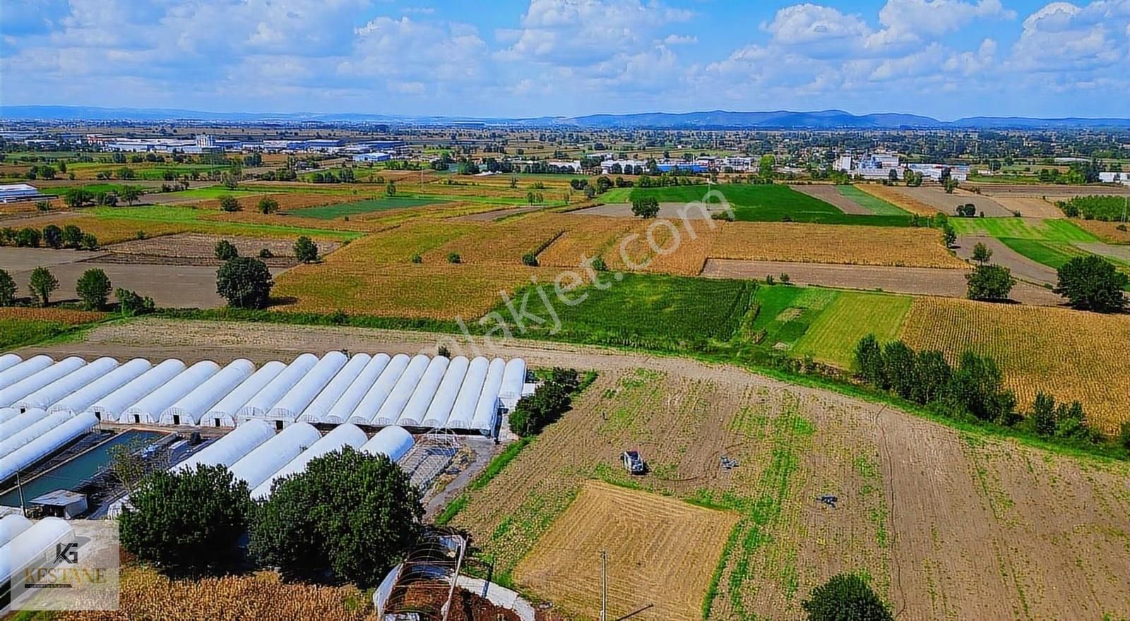 Toprak Yollu| Şekli Düzgün| Tren Yoluna Yakın Tarla - Görsel 26