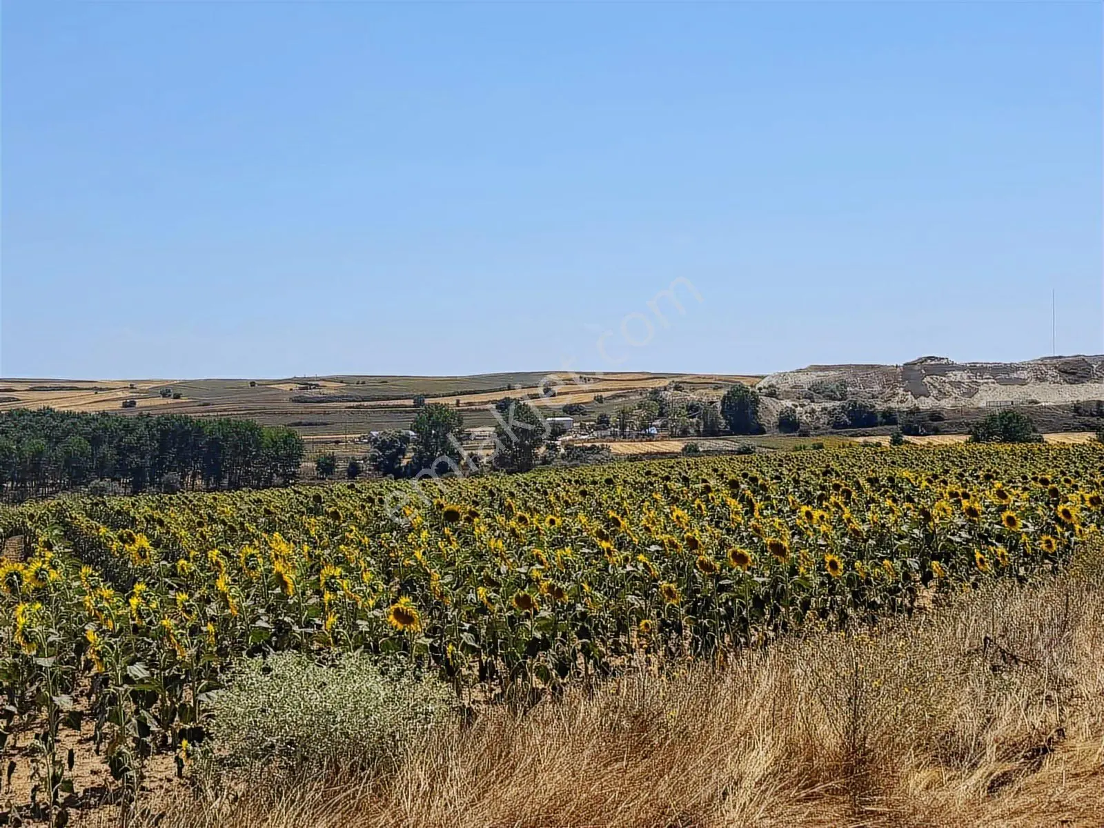 Tekirdağ Kapaklı Karlı Mahallesi - Görsel 2