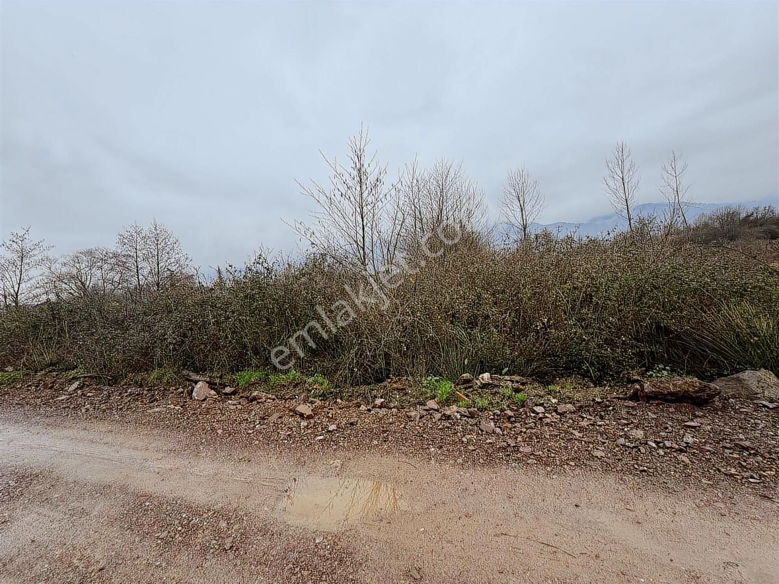 Tarcanlardan Kartepe Balabanda Satılık %5 İmarlı - Görsel 10