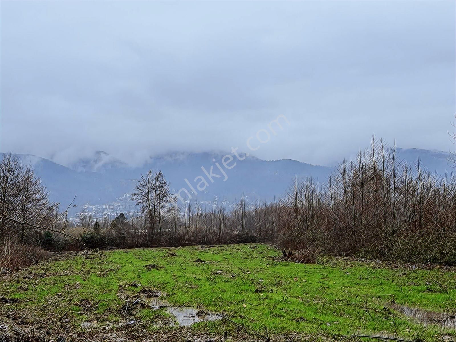 Tarcanlardan Kartepe Balabanda Satılık %5 İmarlı - Görsel 16
