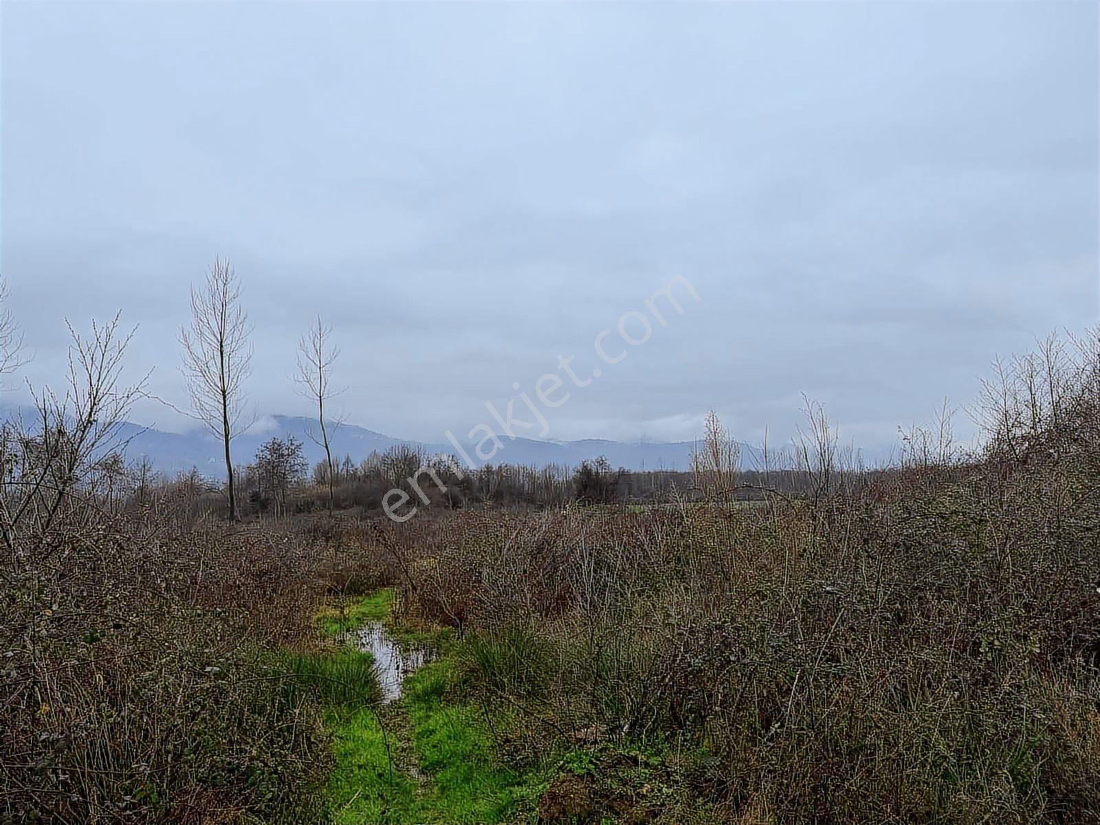 Tarcanlardan Kartepe Balabanda Satılık %5 İmarlı - Görsel 17