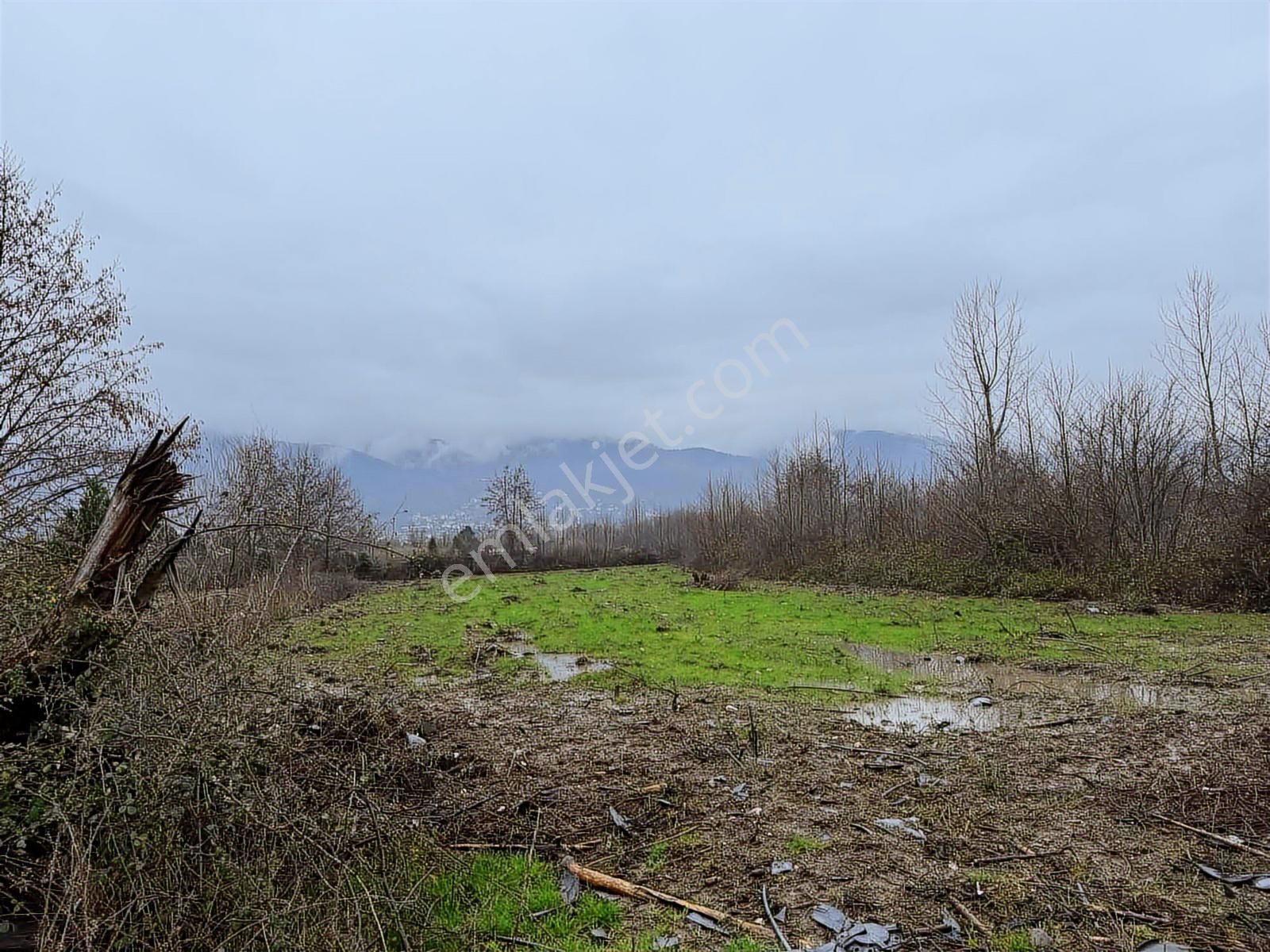 Tarcanlardan Kartepe Balabanda Satılık %5 İmarlı - Görsel 4