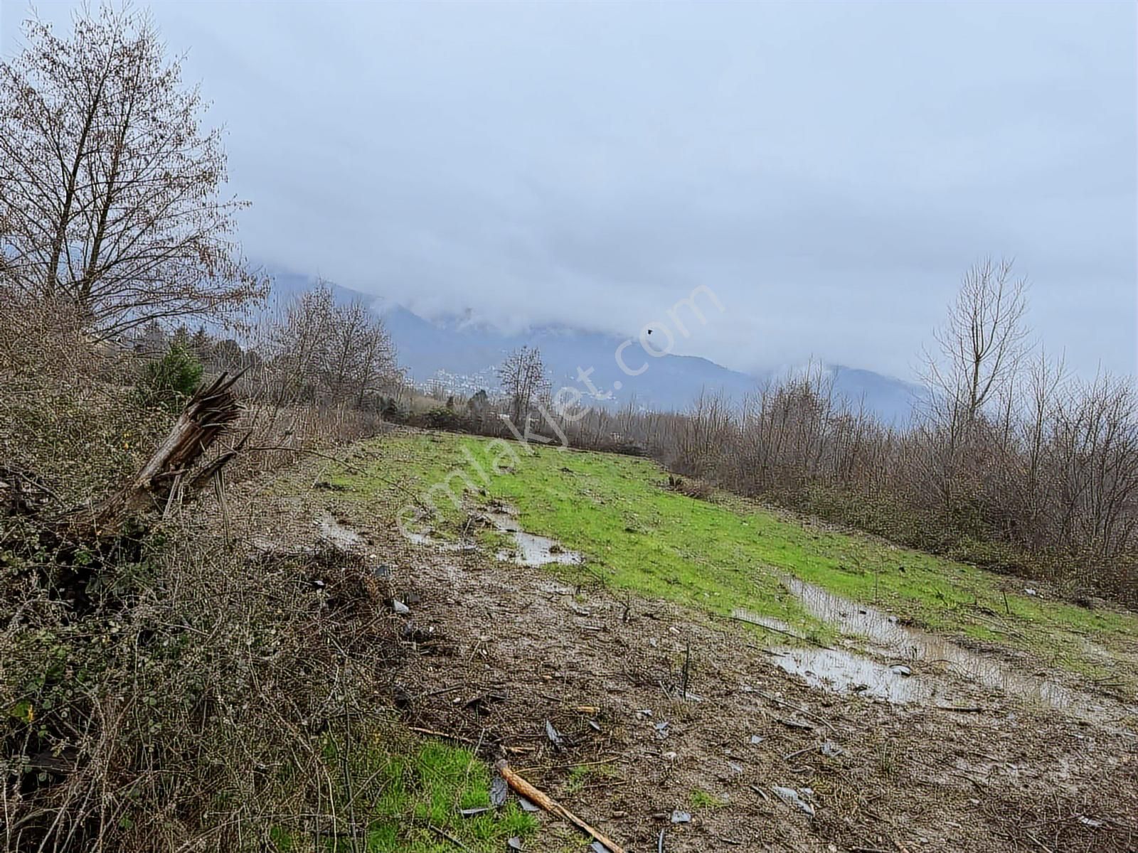 Tarcanlardan Kartepe Balabanda Satılık %5 İmarlı - Görsel 13