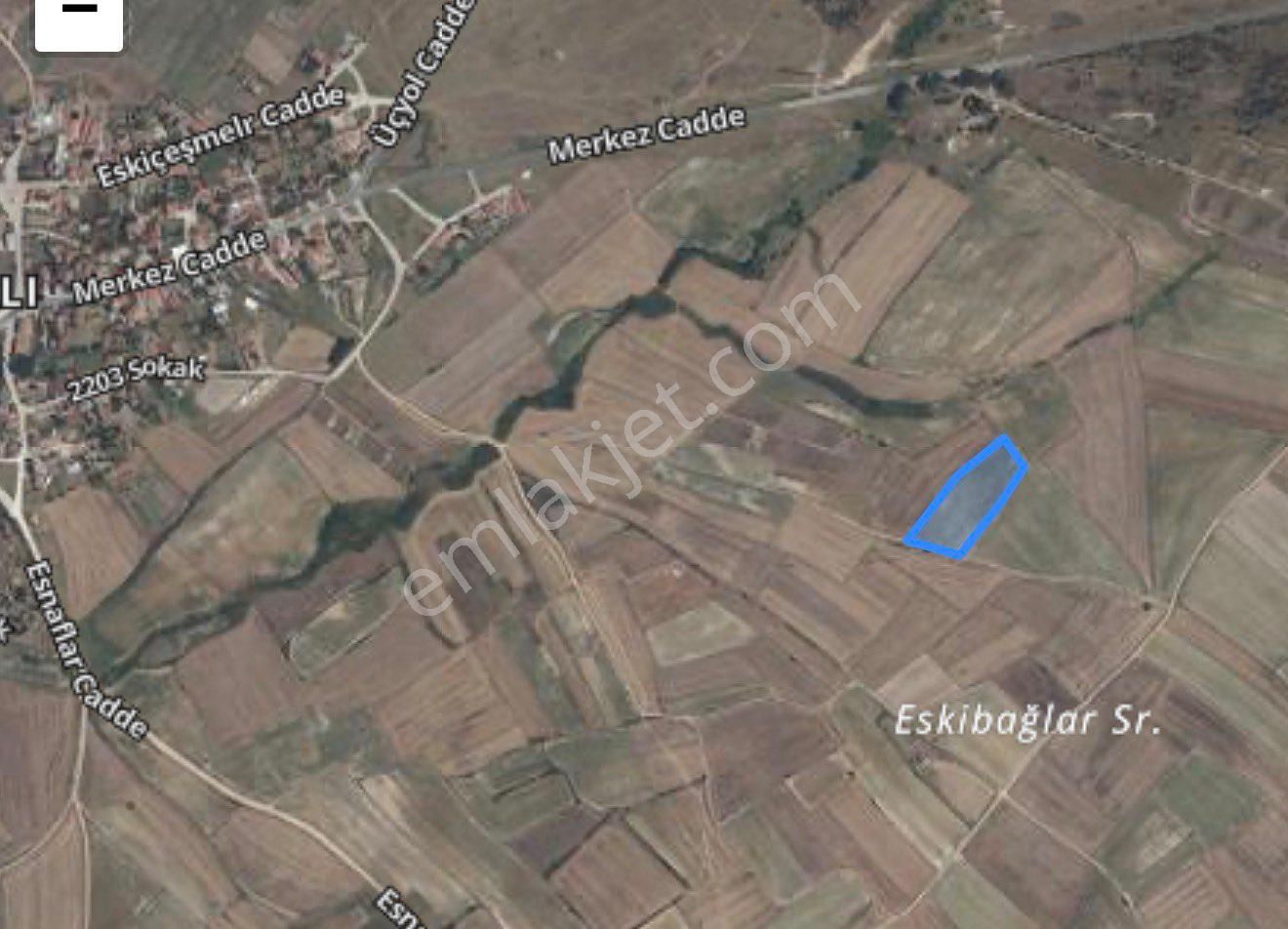 Yıllık Kiralık Tarla - Görsel 3