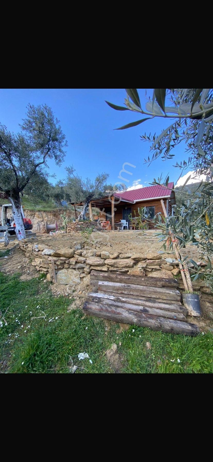 Bayındırda Dağ Evli Zeytinlik - Görsel 3