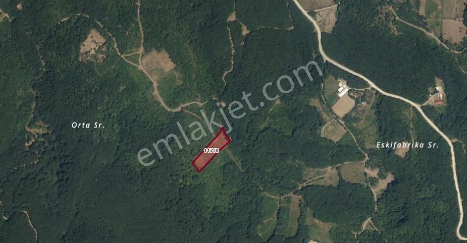 Gölcük İrşadiye’de Yatırımlık Fırsat! Eriklitepe Yakını Kadastral Yola Komşu