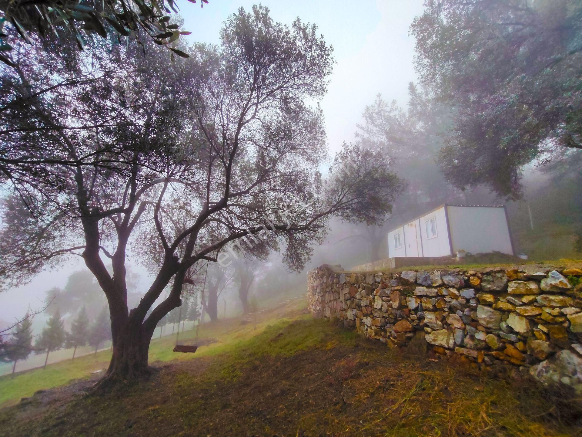 1241m² Geniş Bahçeli | Manzaralı | Numaratajlı | Yapı Kayıtlı | Müstakil Yaşam Fırsatı!! - Görsel 13