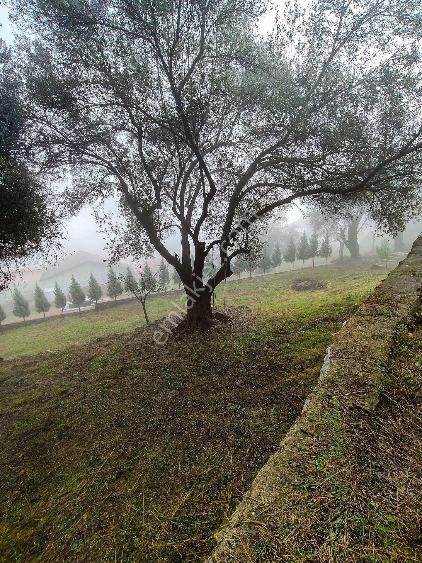 1241m² Geniş Bahçeli | Manzaralı | Numaratajlı | Yapı Kayıtlı | Müstakil Yaşam Fırsatı!! - Görsel 11