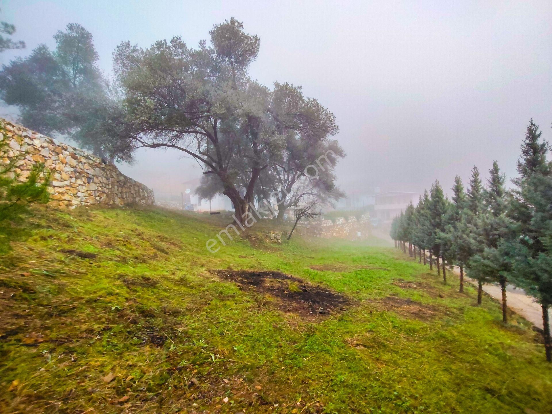 1241m² Geniş Bahçeli | Manzaralı | Numaratajlı | Yapı Kayıtlı | Müstakil Yaşam Fırsatı!! - Görsel 6