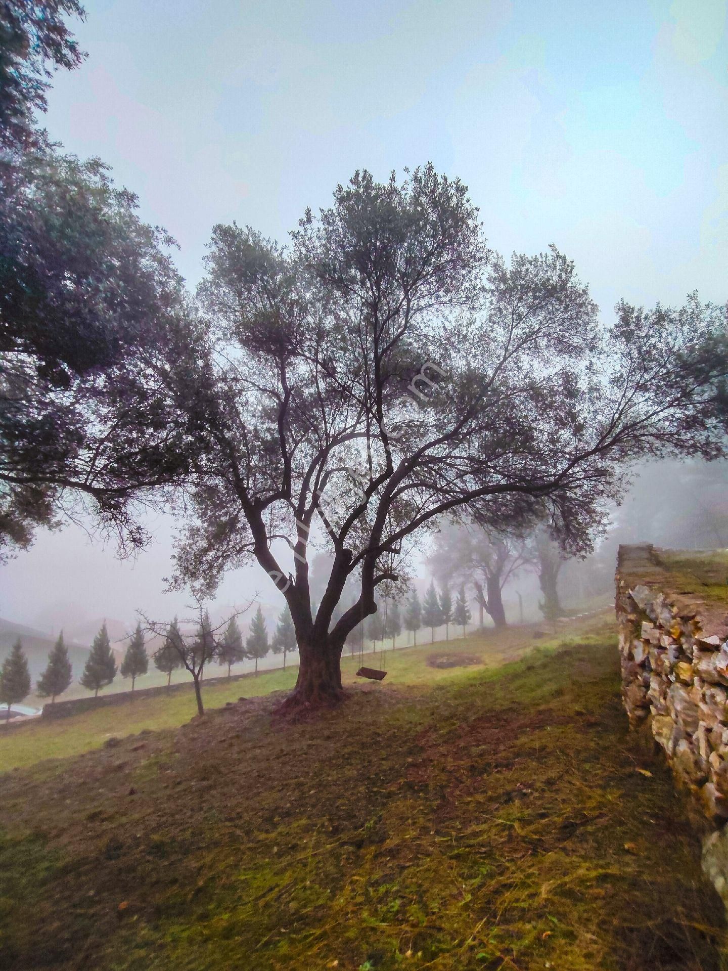 1241m² Geniş Bahçeli | Manzaralı | Numaratajlı | Yapı Kayıtlı | Müstakil Yaşam Fırsatı!! - Görsel 14