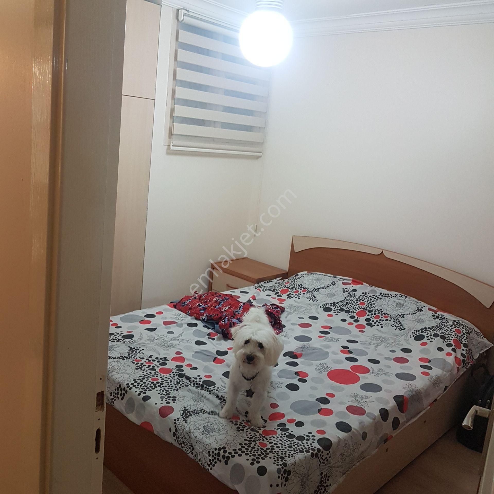 Kendime Özel Restore Edilmiş Satılık Daıre - Görsel 13