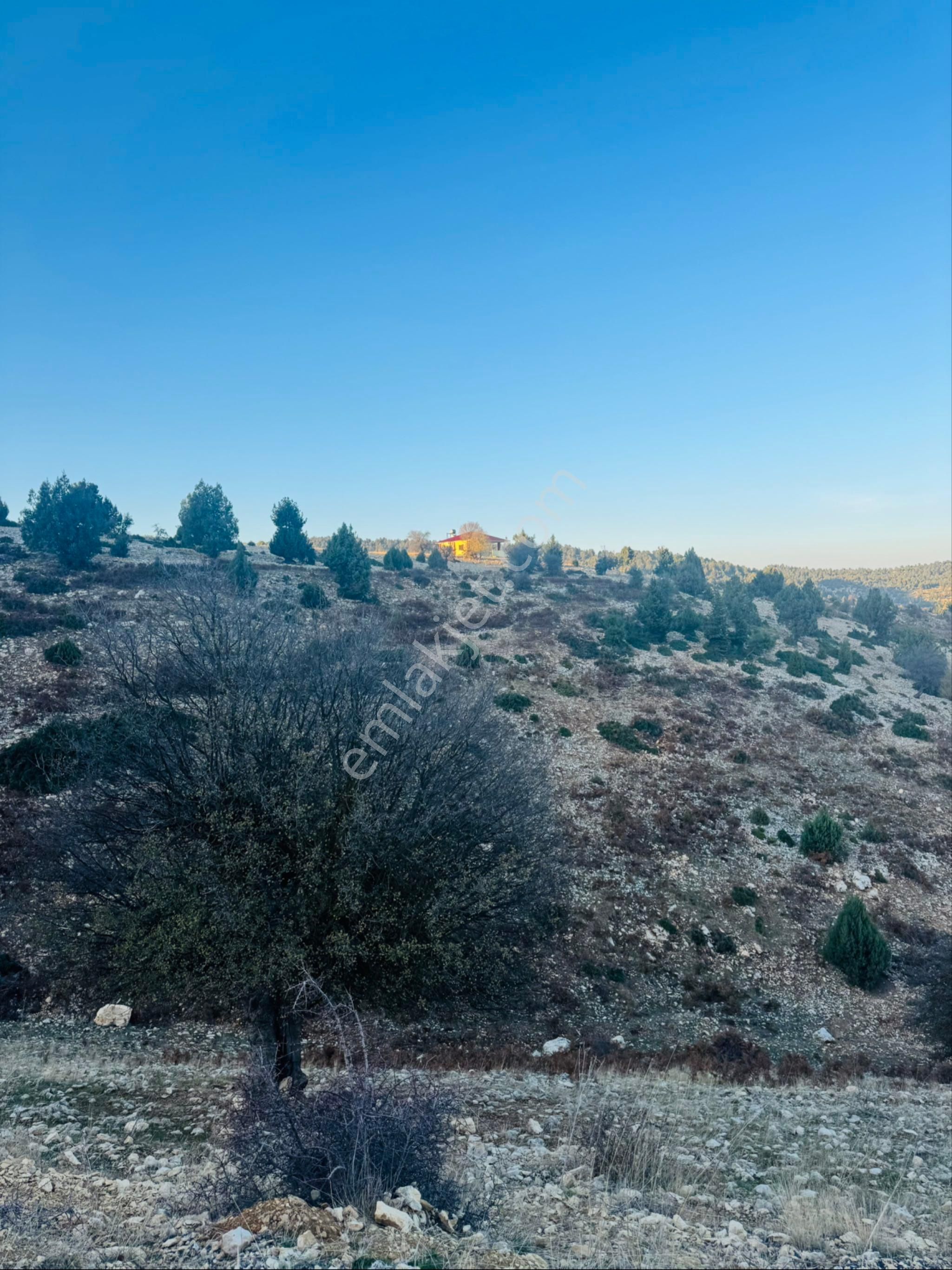 Küçük Fındık Yaylası'nda Deniz-şehir Manz. 7.5 Dönüm Yaylalık - Görsel 6