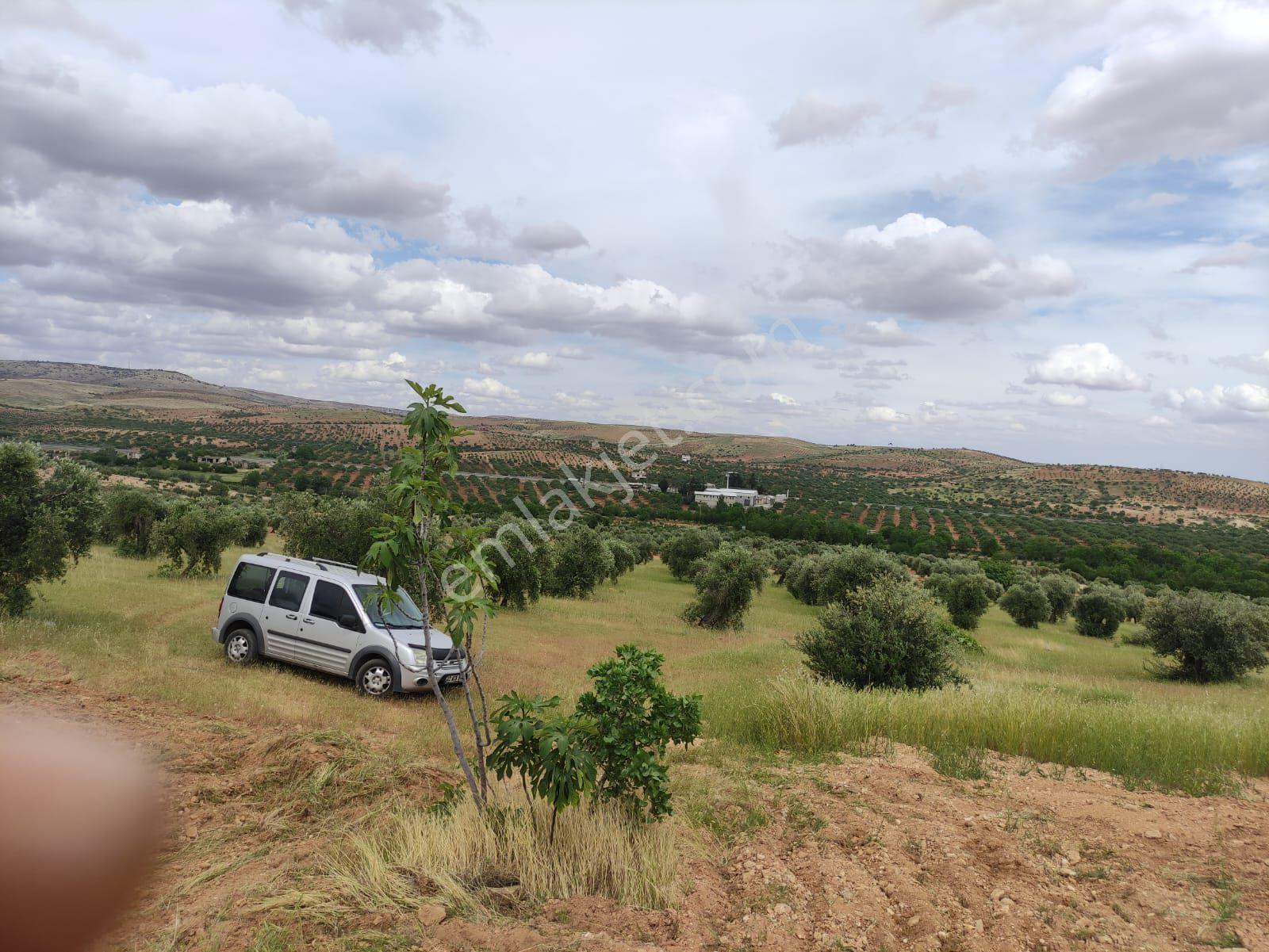 Şehitkamil Türkyurdu Mahallesi 3500 Mt Tek Tapu - Görsel 4
