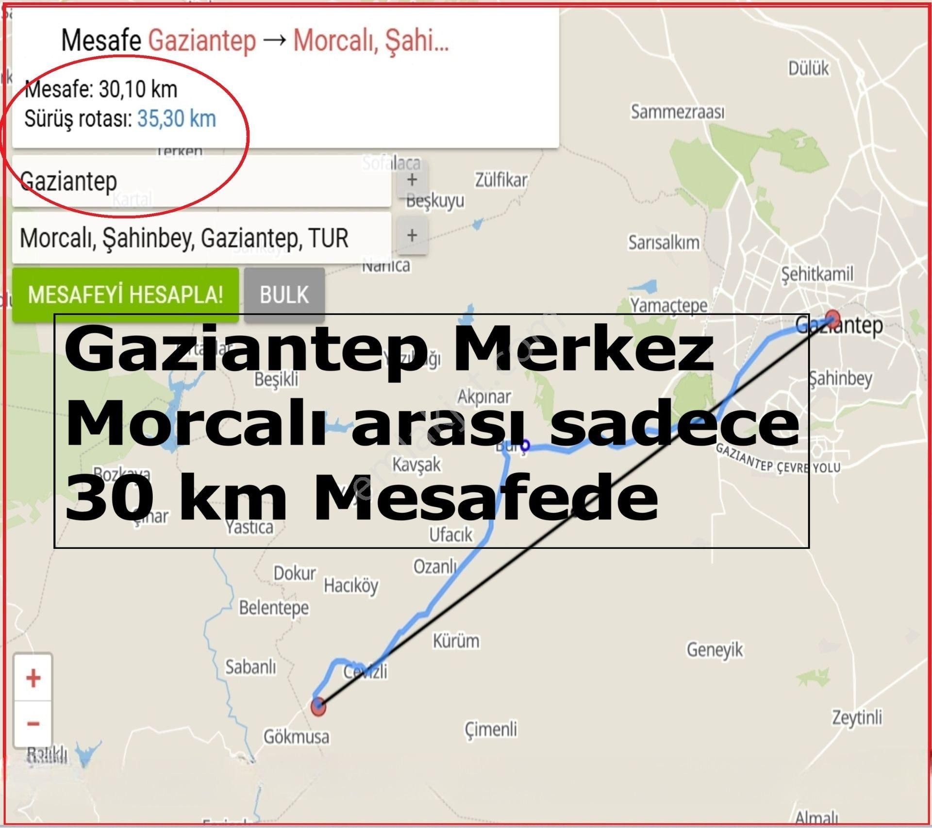 Morcalı Da Satılık 3080 M2 Tek Tapu Zeytinlik - Görsel 8