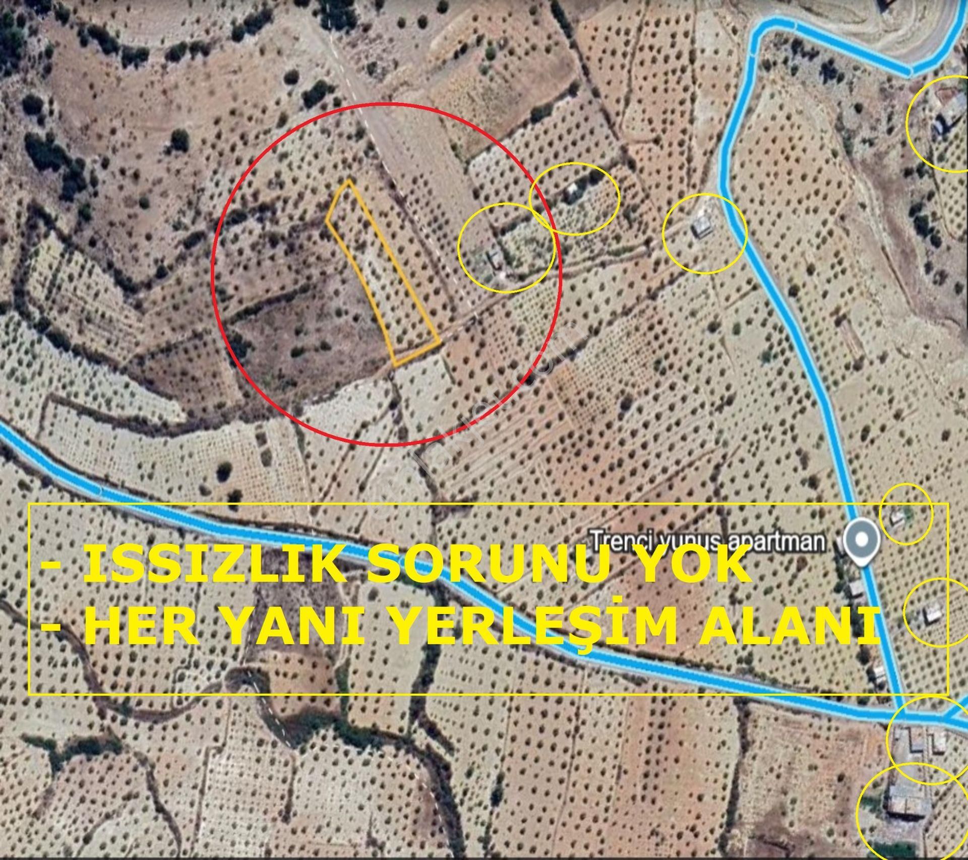 Morcalı Da Satılık 3080 M2 Tek Tapu Zeytinlik - Görsel 5