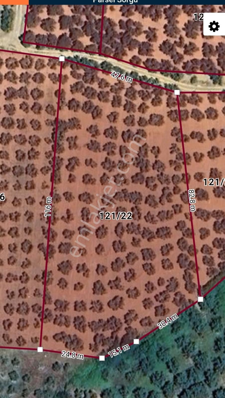 Bursa Mudanya Trilye Halilbey Satılık Yatırımlık Zeytinlik Tarla