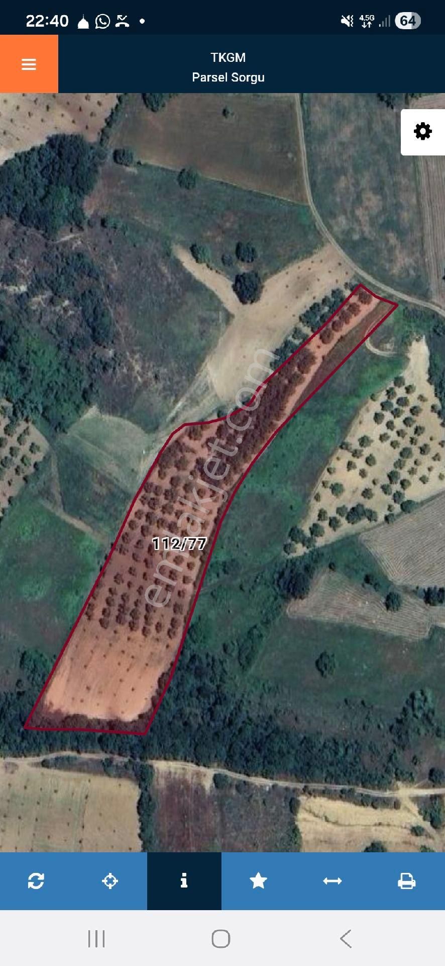 Hamamlıda 9.700 M2 Ceviz Bahçesi - Görsel 8