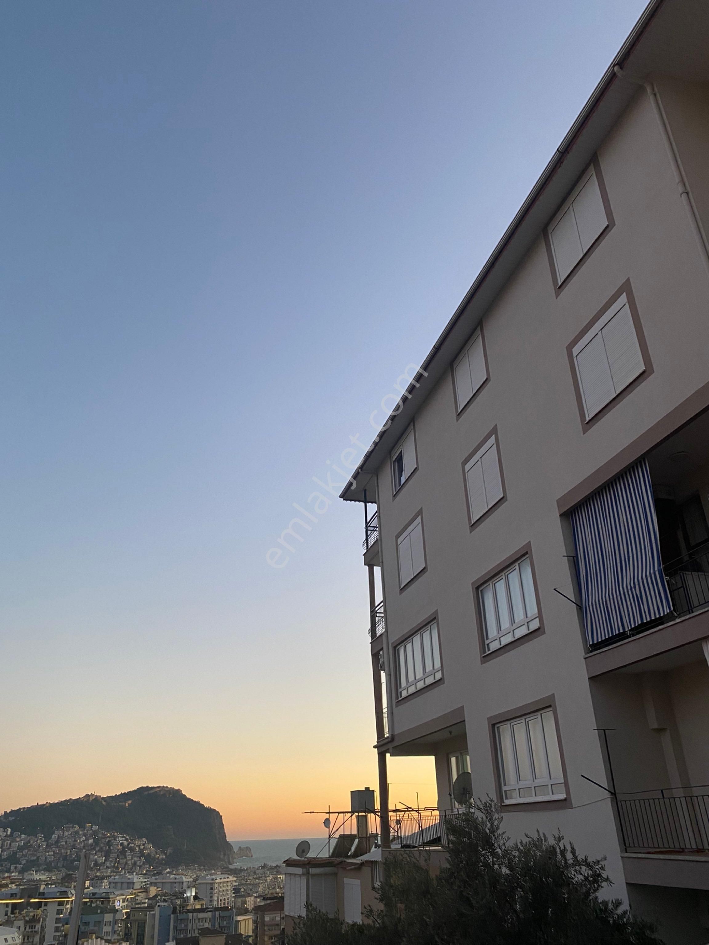 Kütürüp Mh 1+1 1. Kat Boş Kiralık Daire