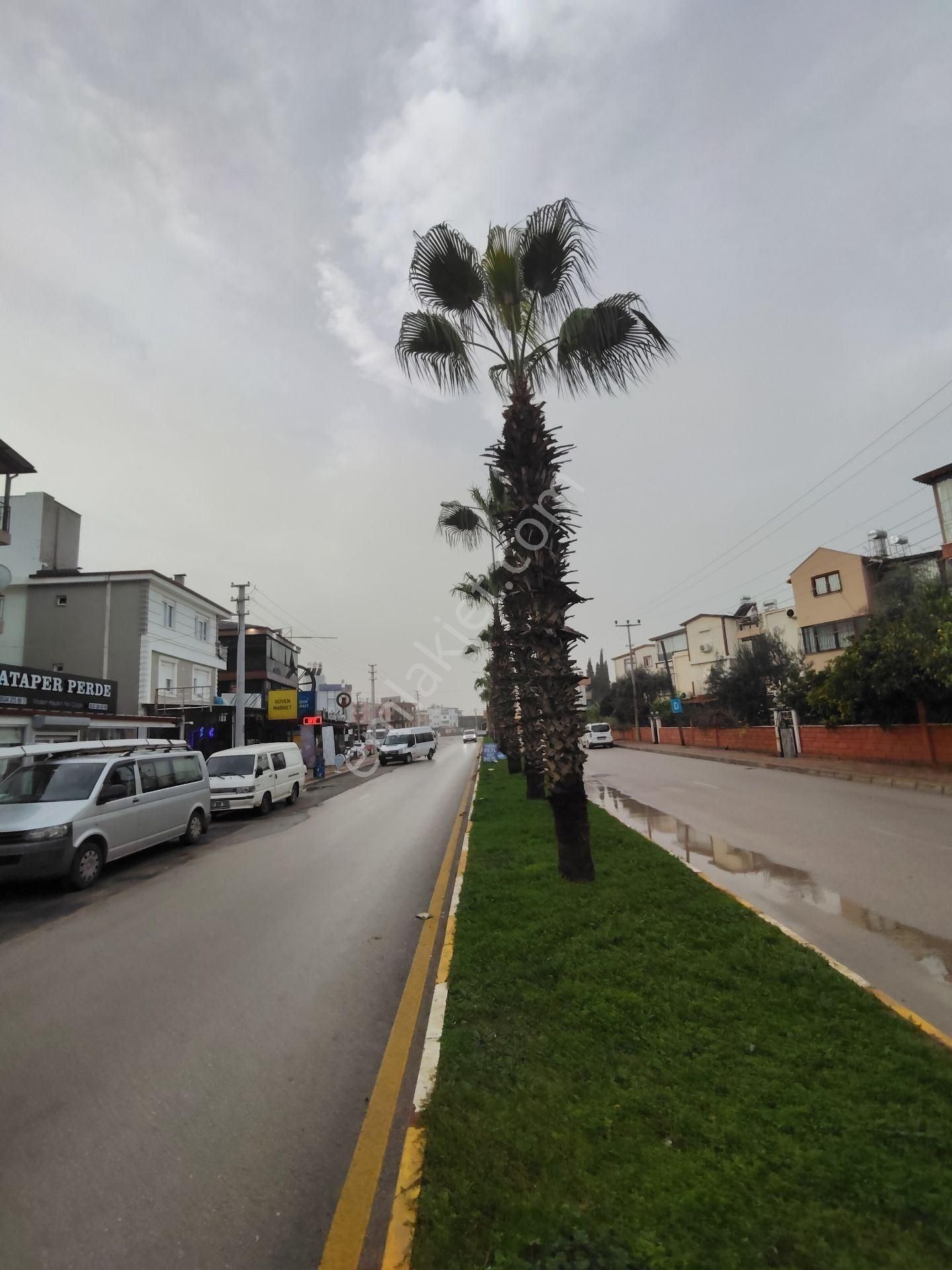 Kepez Şelale Mahallesi’nde Cadde Üzeri 3 Katlı Kiralık Dükkan - Görsel 13