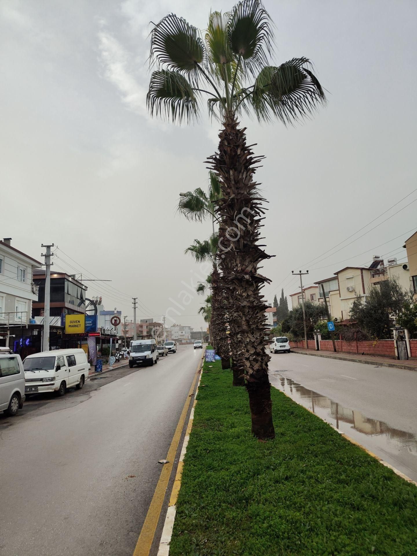 Kepez Şelale Mahallesi’nde Cadde Üzeri 3 Katlı Kiralık Dükkan - Görsel 11