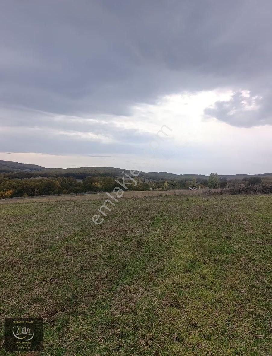 Kavak Çivril De 6.243m² Tek Tapu Tarla - Görsel 4
