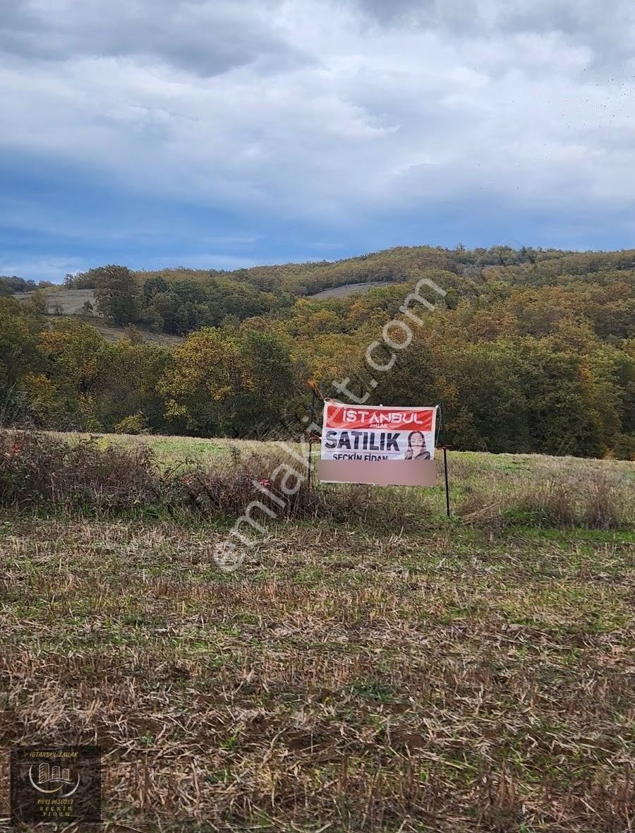 Kavak Çivril De 6.243m² Tek Tapu Tarla - Görsel 5