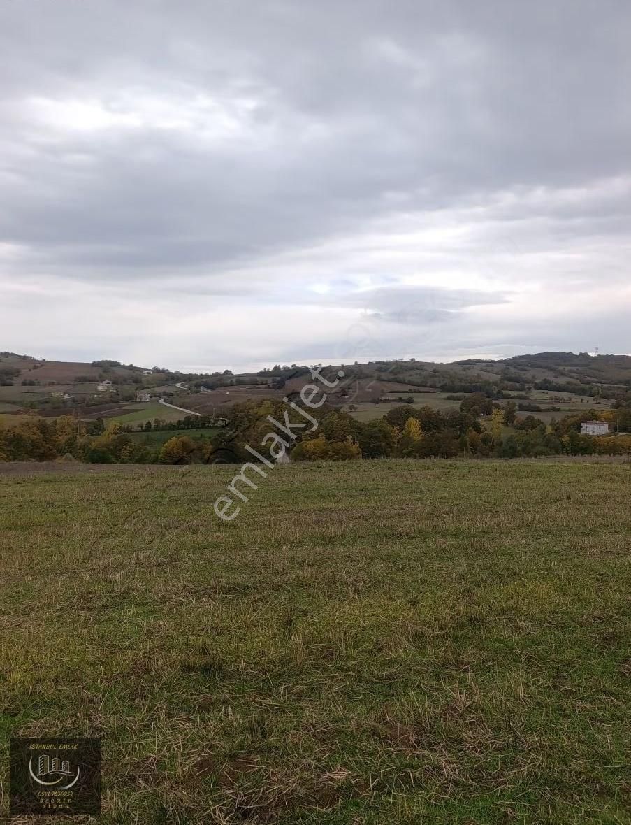 Kavak Çivril De 6.243m² Tek Tapu Tarla - Görsel 7